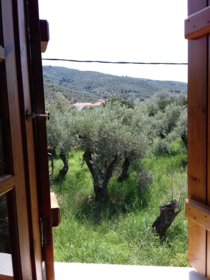 Koutadelias Rooms Kalamos  Exterior photo